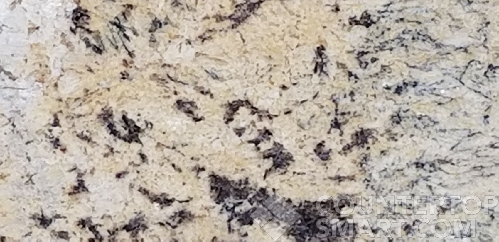 Image of Item