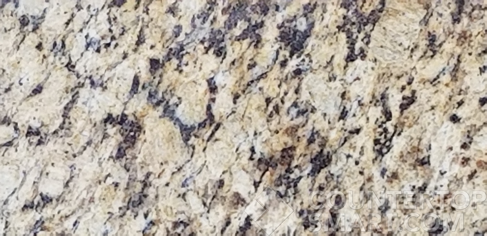 Image of Item