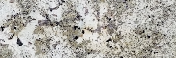 Image of Item