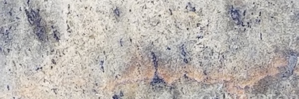 Image of Item