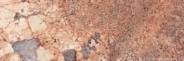 Image of Item