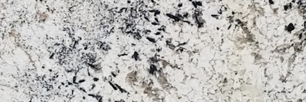 Image of Item
