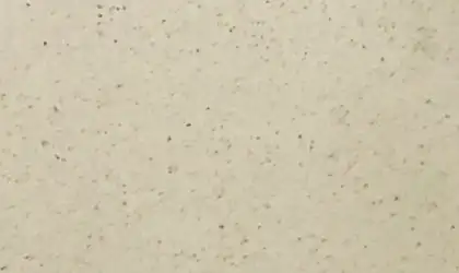 Image of Item