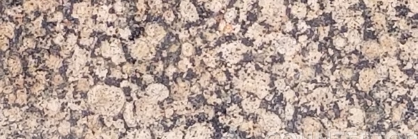Image of Item