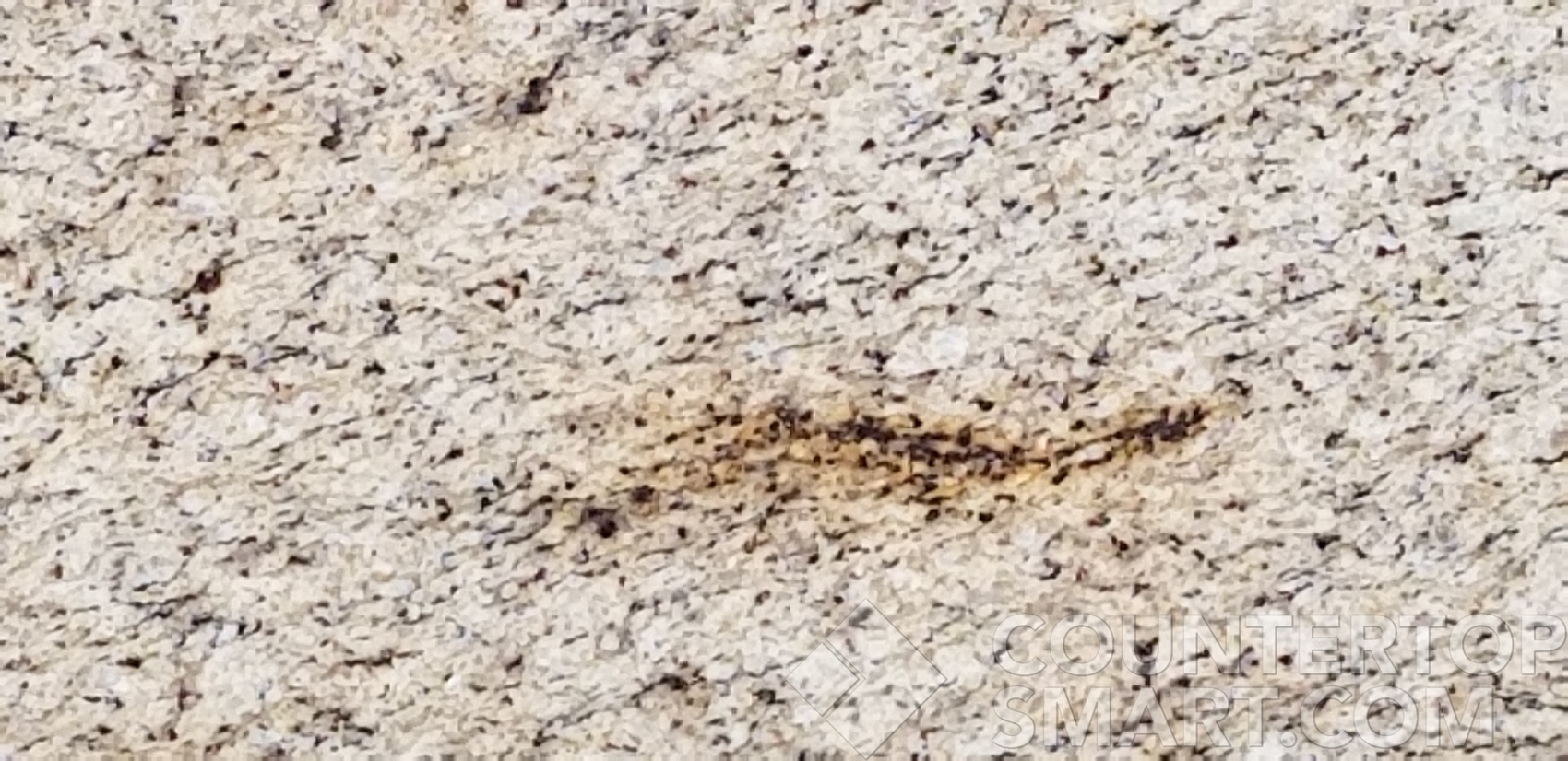 Image of Item