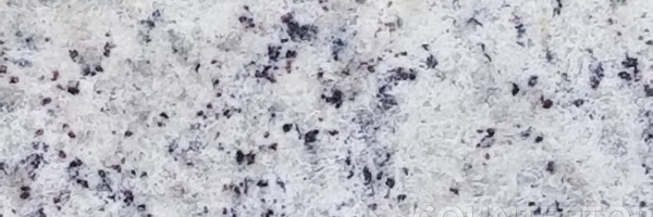 Image of Item