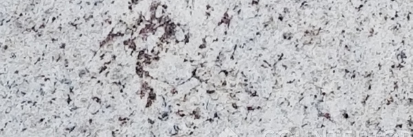 Image of Item