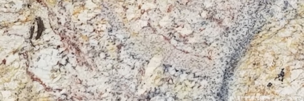 Image of Item
