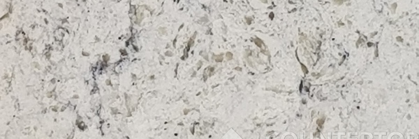 Image of Item
