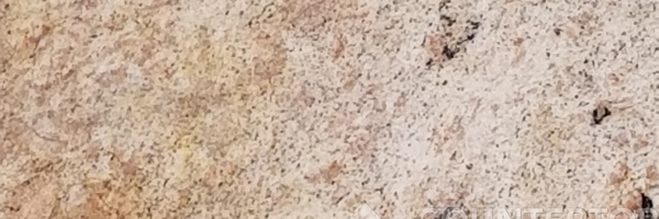 Image of Item