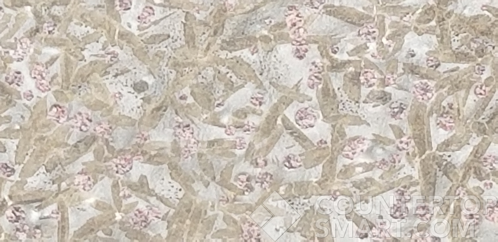 Image of Item