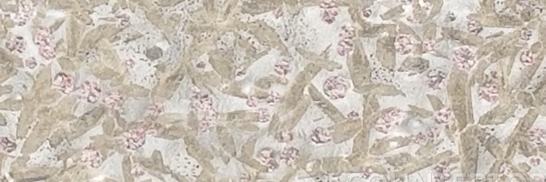 Image of Item