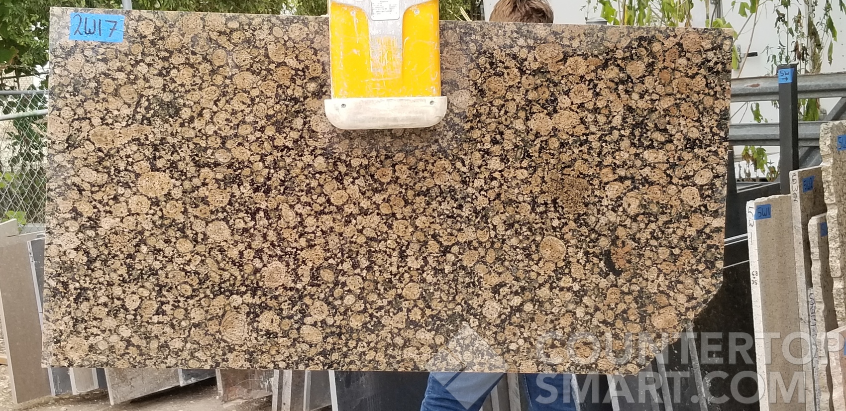 Image of Item