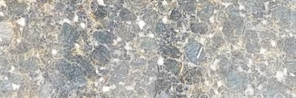 Image of Item