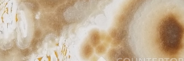 Image of Item