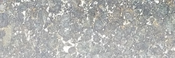Image of Item