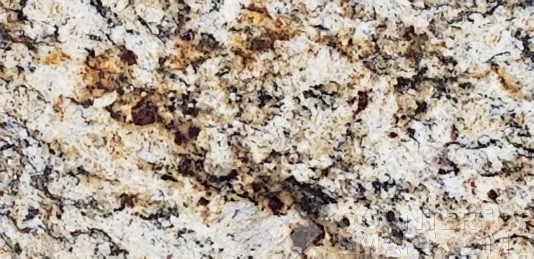 Image of Item
