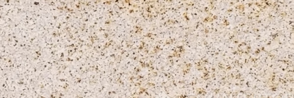 Image of Item