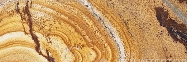 Image of Item