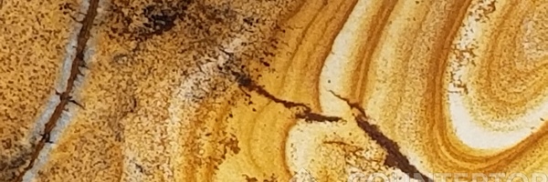 Image of Item