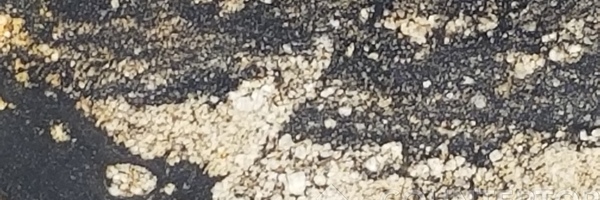 Image of Item