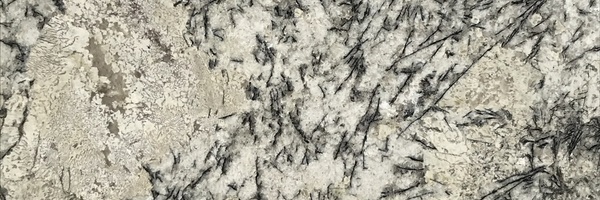 Image of Item