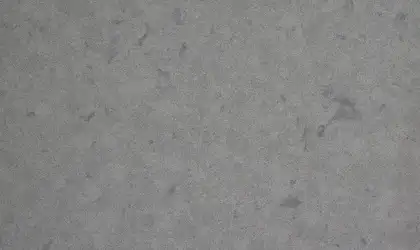 Image of Item