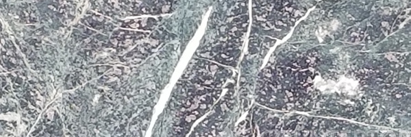 Image of Item