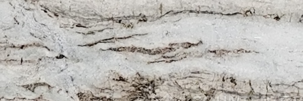 Image of Item