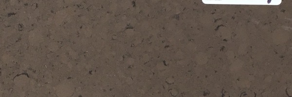 Image of Item
