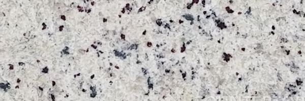 Image of Item