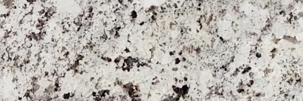 Image of Item