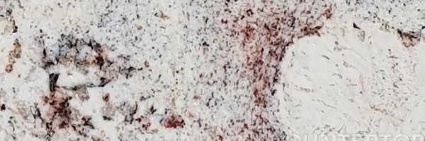 Image of Item