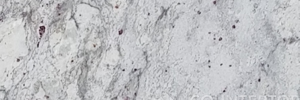 Image of Item