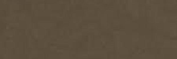 Image of Item