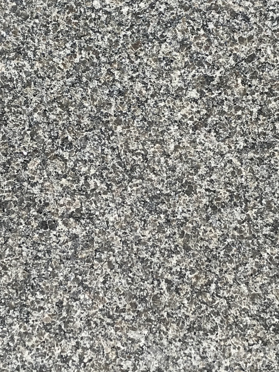 Image of Item