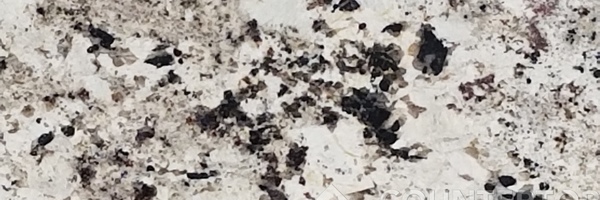Image of Item