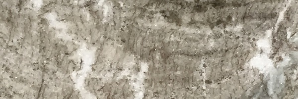 Image of Item