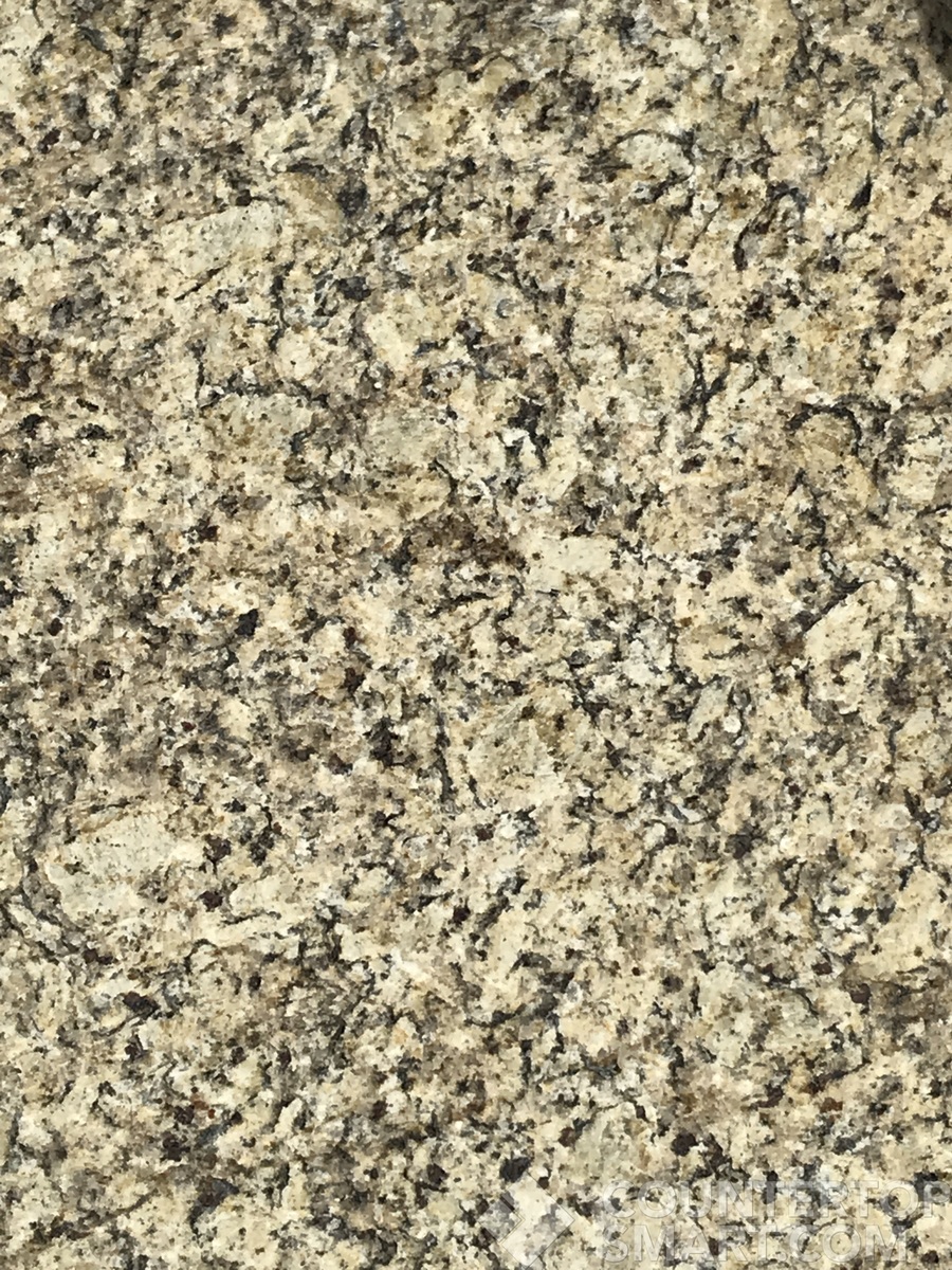 Image of Item