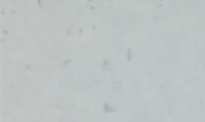 Image of Item