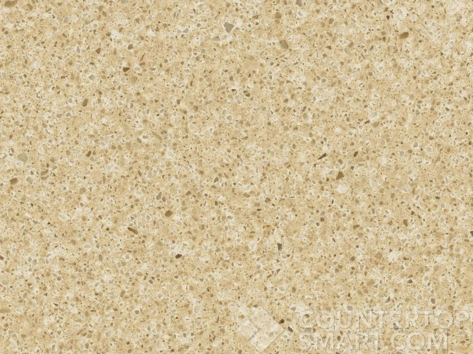 Image of Item