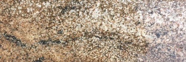 Image of Item