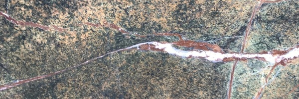 Image of Item