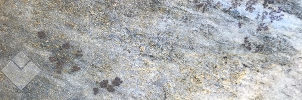Image of Item