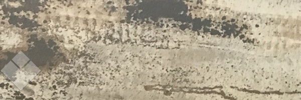 Image of Item