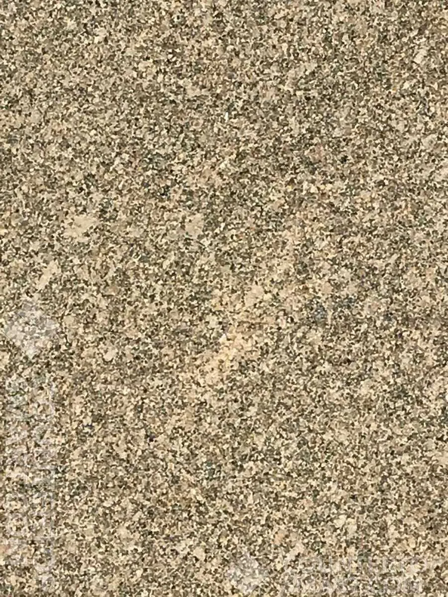 Image of Item