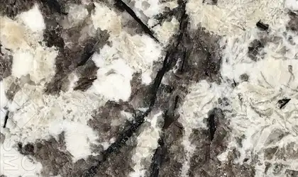 Image of Item