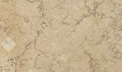 Image of Item