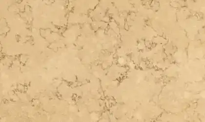 Image of Item