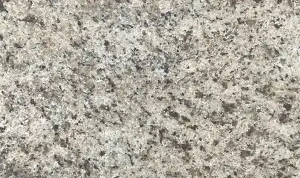 Image of Item